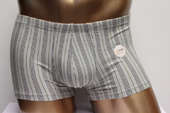 underpants boxer briefs 